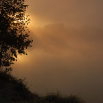 Ráno u rybníka III.