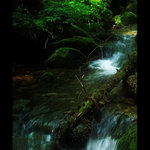 Tatranské potôčiky I.