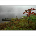 ze života převozníka VII