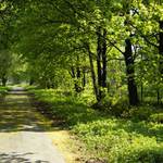 cesta za slunecem Vidnava