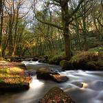 Golitha Falls | Cornwal | UK