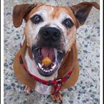 Rikal nekdo GRANULKA?:)))