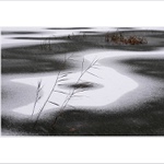 ... na tenkém ledě ...