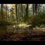 rychlost světla za 1s