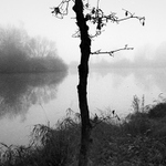 Doubek