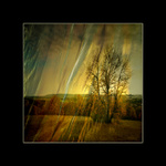 ***podzim prochází krajem***