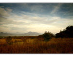 ..cestou necestou...