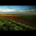 ...cestou necestou...