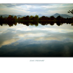 ...cestou necestou...