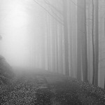 Cesta k Černému jezeru