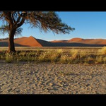 Živá i mŕtva  IV.