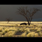 Živá i mŕtva  VII.