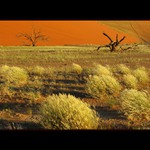 Namíbia - Sossusvlei