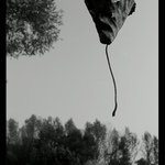 Podzimní tanečnice