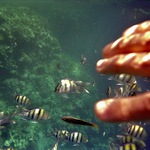 **::..Simply \"Touch...\"..::**