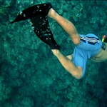 **::..Freediver...