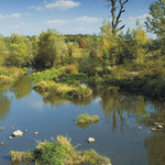 Pohansko