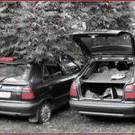 Český sen v reálu