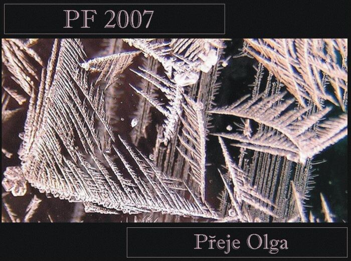 PF 2007