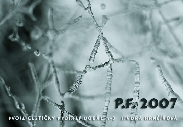 P.F.