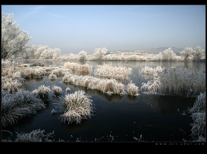 u Dobevského rybníka