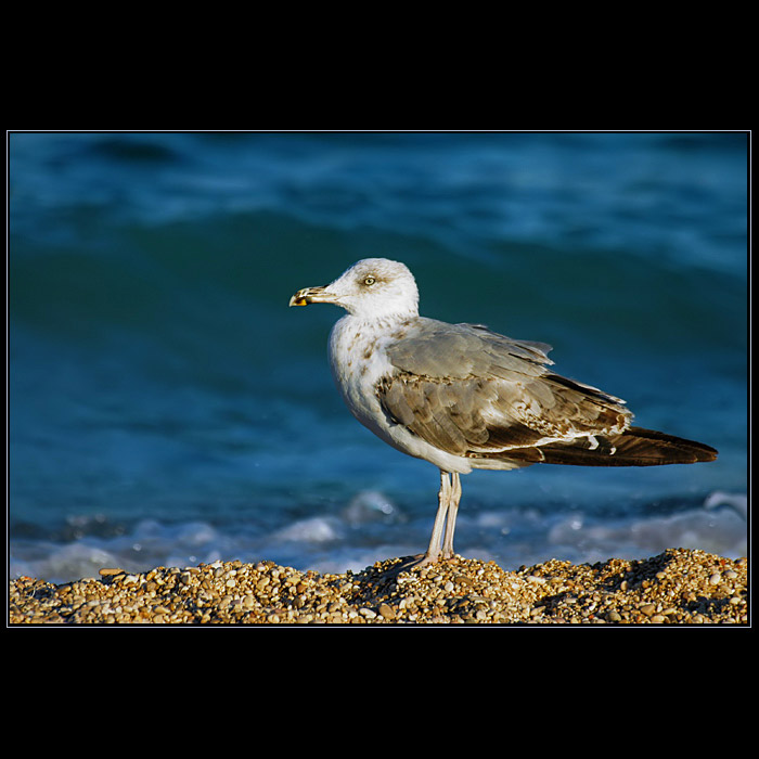 Taká spomienka na leto