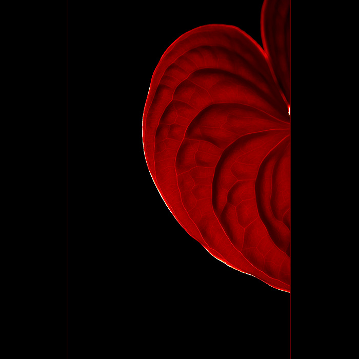 - když jí miluješ, není co řešit -