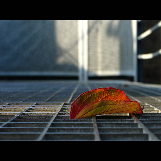 Střet dvou světů ...