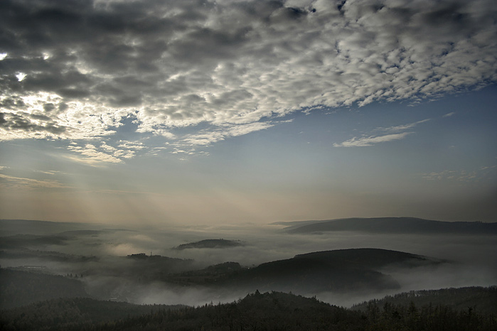 Ranní mlhavé tajemství III
