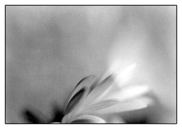 třepoty křídel motýlích