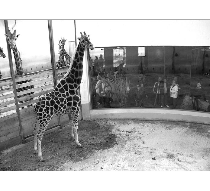 chjo, tech je tu zas jak blech...:)