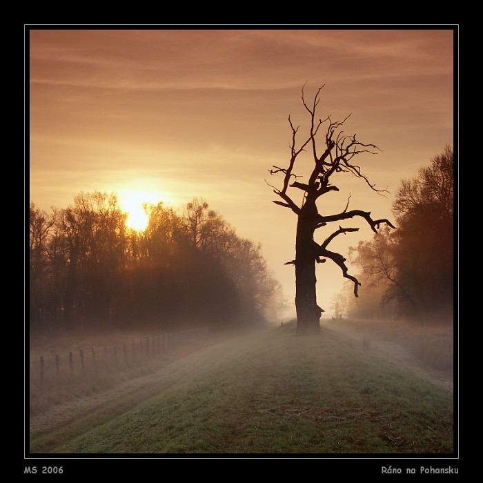 Podzimní mlhavé ráno na Pohansku