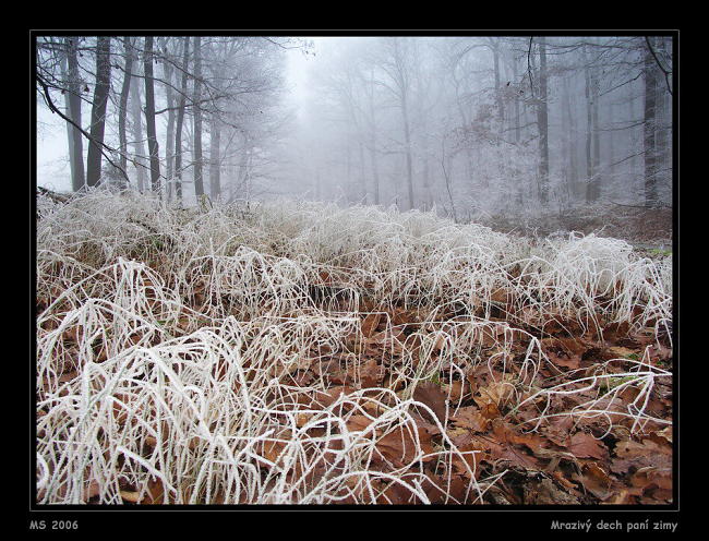 Mrazivý dech paní zimy