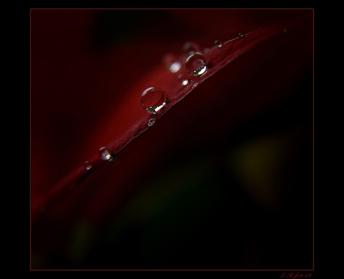 -- druhá --