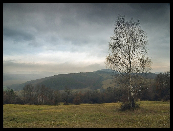 Novembrová - Listopadová