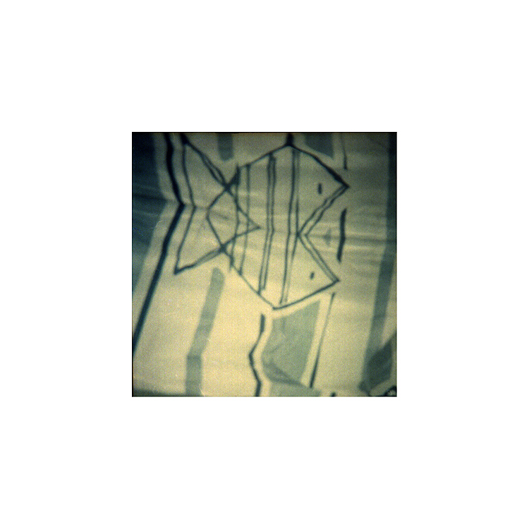 rybky