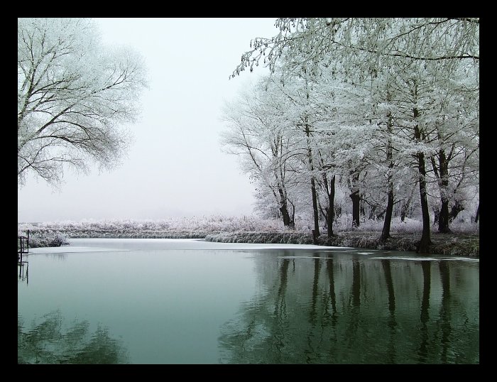 Nesmělý dotek zimy