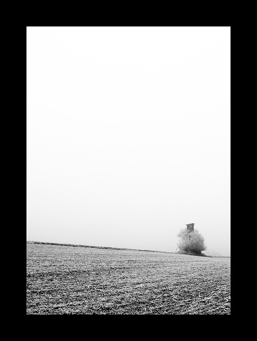 dhe Posed - obrostlý