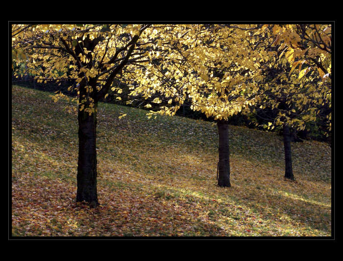 v řadě