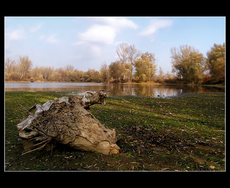 Krajina s hlavou ...