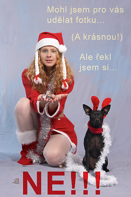 Žádní falešní sobi...