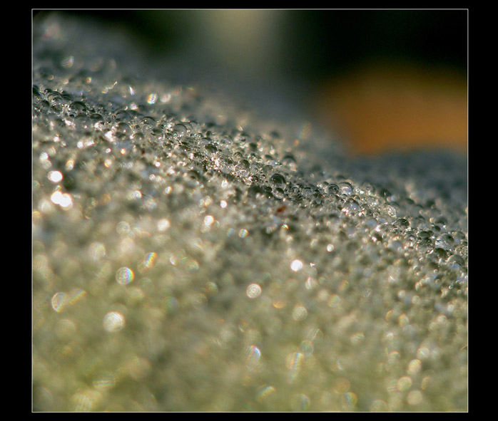 Diamonds