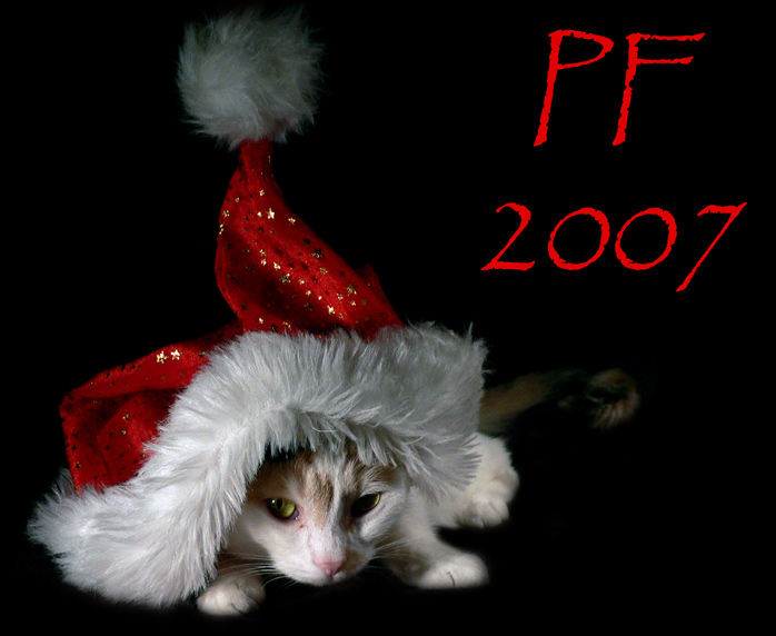 PF2007