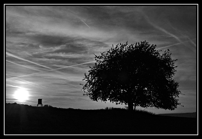 ...solitér...