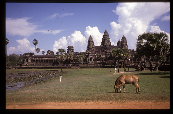 Angkor What?