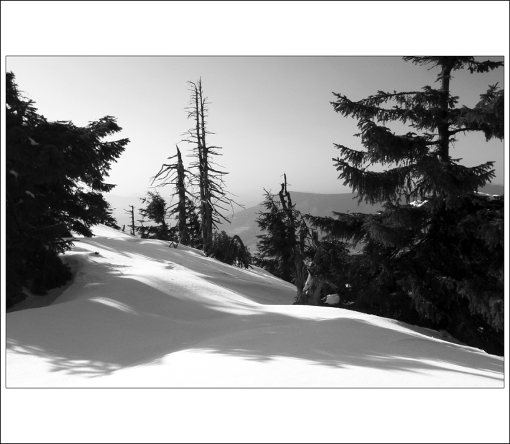 Radegastovo pozdní odpoledne