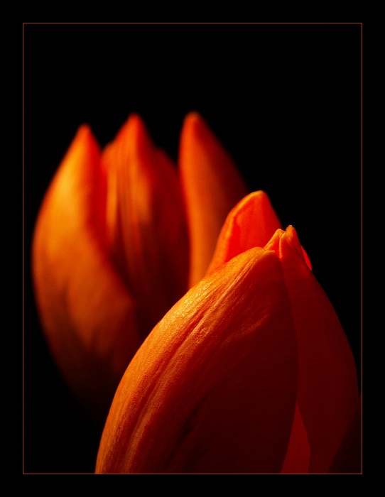 ... burnin\' ...