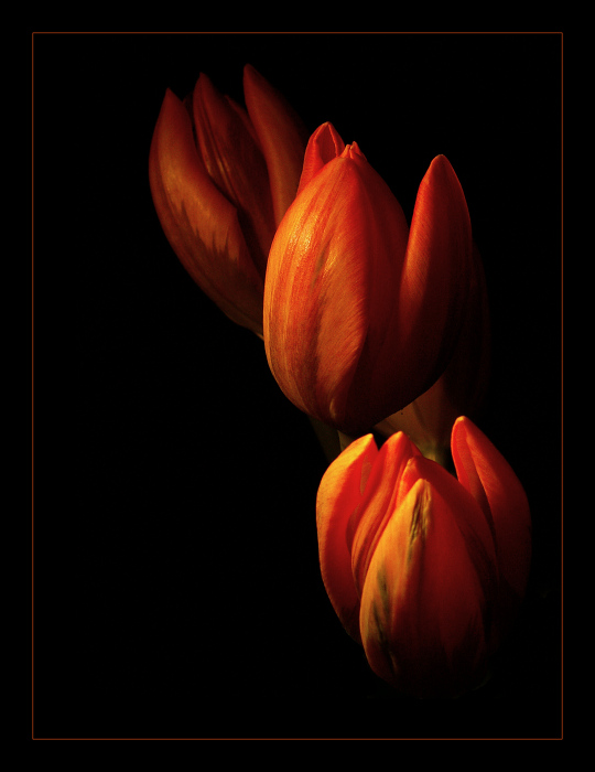 ... burnin\' II. ...