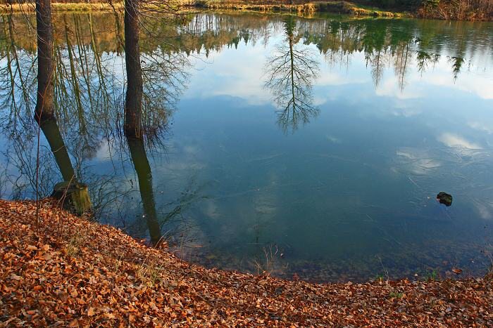 vánoční krajina