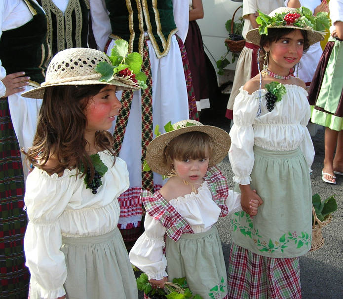 vinobraní na Madeiře